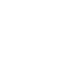 Blue Ocean Services LLC